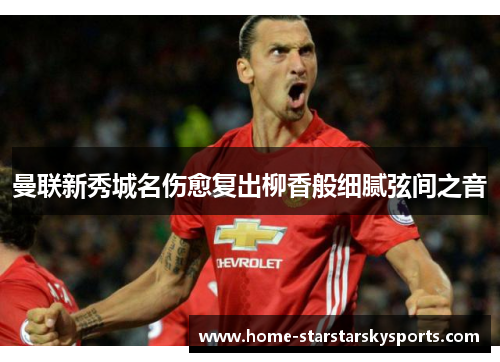 曼联新秀城名伤愈复出柳香般细腻弦间之音